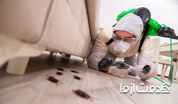همه چیز درباره ی سمپاشی سوسک