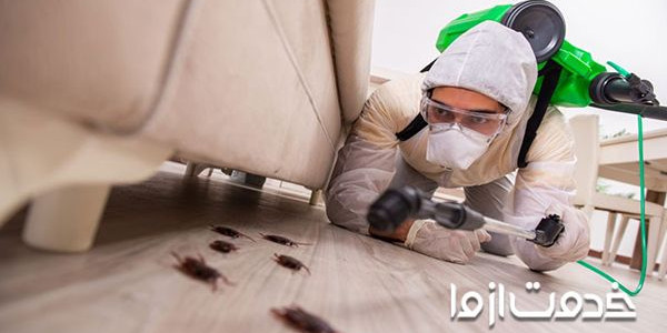همه چیز درباره ی سمپاشی سوسک