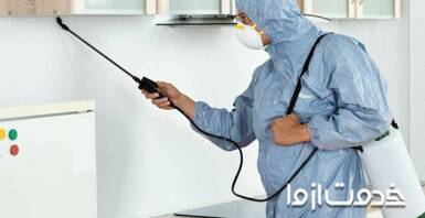 بهترین زمان سمپاشی ساس و سوسک در خانه