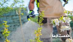 سمپاشی گل و گیاه