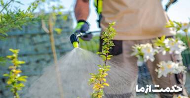 سمپاشی گل و گیاه