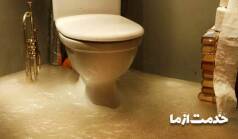 دلایل عدم تخلیه توالت فرنگی