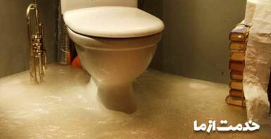 دلایل عدم تخلیه توالت فرنگی