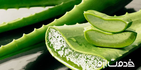 ژل آلوورا چه فوایدی برای پوست و مو دارد؟