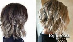 آمبره موی کوتاه | سامبره مو کوتاه