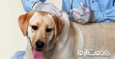 واکسن هاری سگ