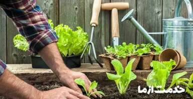 خدمات باغبانی جزئی