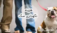 هزینه نگهداری از سگ چقدر است؟