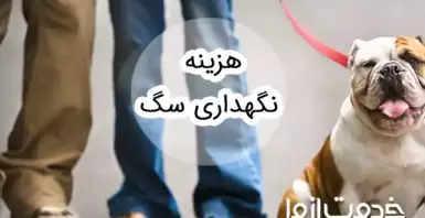 هزینه نگهداری از سگ چقدر است؟