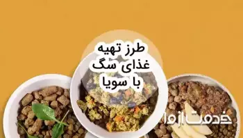 طرز تهیه غذای سگ با سویا: بررسی فواید، مضرات و نکات مهم