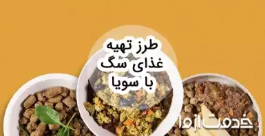 طرز تهیه غذای سگ با سویا: بررسی فواید، مضرات و نکات مهم