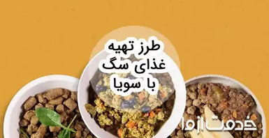 طرز تهیه غذای سگ با سویا: بررسی فواید، مضرات و نکات مهم