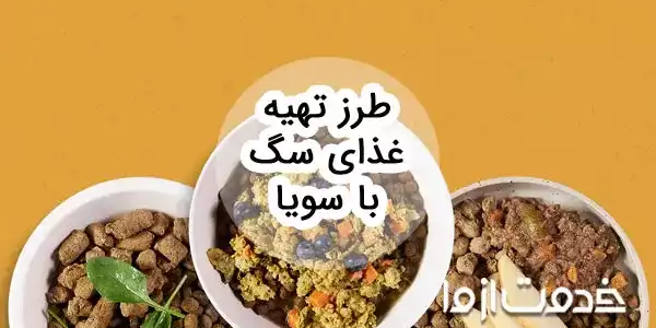 طرز تهیه غذای سگ با سویا: بررسی فواید، مضرات و نکات مهم