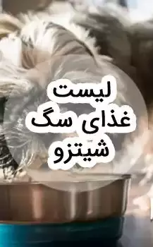 لیست غذای سگ شیتزو: برنامه غذایی کامل از تولگی تا پیری