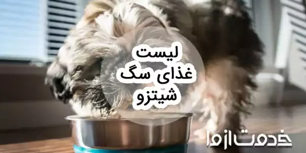 لیست غذای سگ شیتزو: برنامه غذایی کامل از تولگی تا پیری