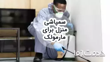 سم پاشی منزل برای مارمولک