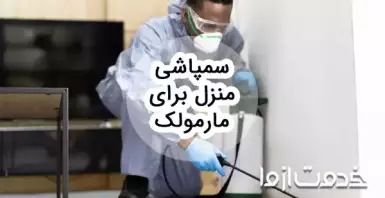 سم پاشی منزل برای مارمولک