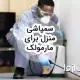 سم پاشی منزل برای مارمولک