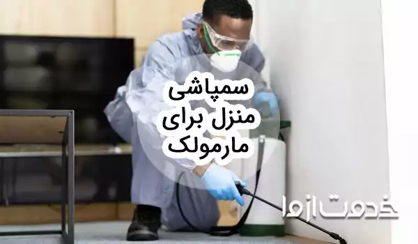 سم پاشی منزل برای مارمولک