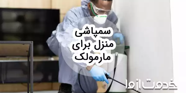 سم پاشی منزل برای مارمولک