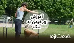 آموزش چرخیدن به سگ
