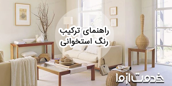 رنگ استخوانی دیوار