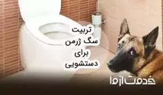 نحوه آموزش سگ ژرمن برای دستشویی