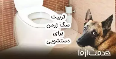 نحوه آموزش سگ ژرمن برای دستشویی