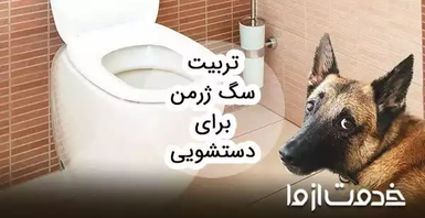 نحوه آموزش سگ ژرمن برای دستشویی