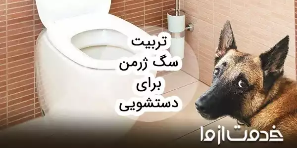 نحوه آموزش سگ ژرمن برای دستشویی
