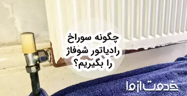 آموزش دستشویی به سگ