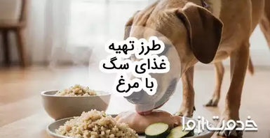 آموزش طرز تهیه غذای سگ با مرغ و نکات مهم آن