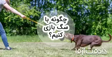 راهنمای کامل بازی با سگ: چگونه با سگ بازی کنیم؟