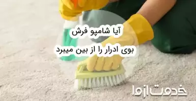 آیا شامپو فرش بوی ادرار را از بین میبرد؟
