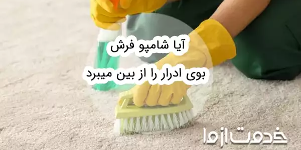 آیا شامپو فرش بوی ادرار را از بین میبرد؟