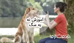 آموزش نه به سگ چگونه است؟