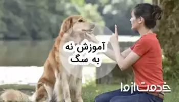 آموزش نه به سگ چگونه است؟