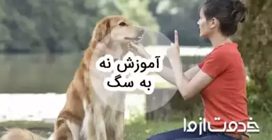 آموزش نه به سگ چگونه است؟