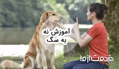 آموزش نه به سگ چگونه است؟