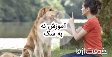 آموزش نه به سگ چگونه است؟