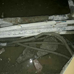 resume image