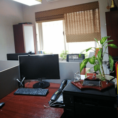 resume image