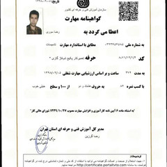 resume image