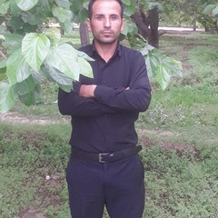 resume image