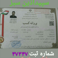 resume image