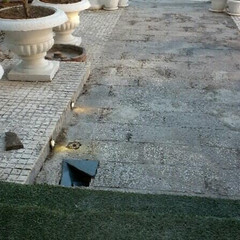 resume image
