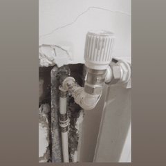 resume image