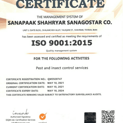 resume image