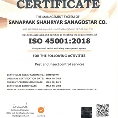 resume image