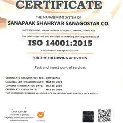 resume image